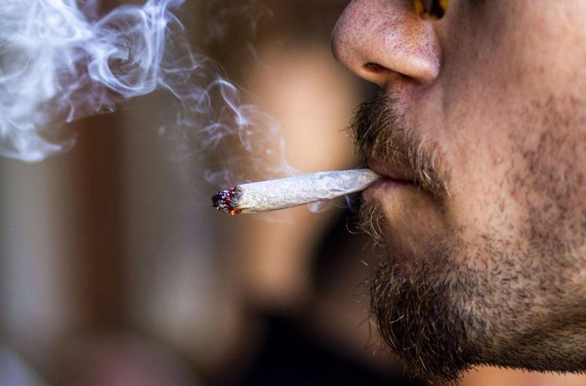  Casual marijuana use linked to increased risk of heart attack and stroke, decreased concern of heart attack and stroke [Interesting]