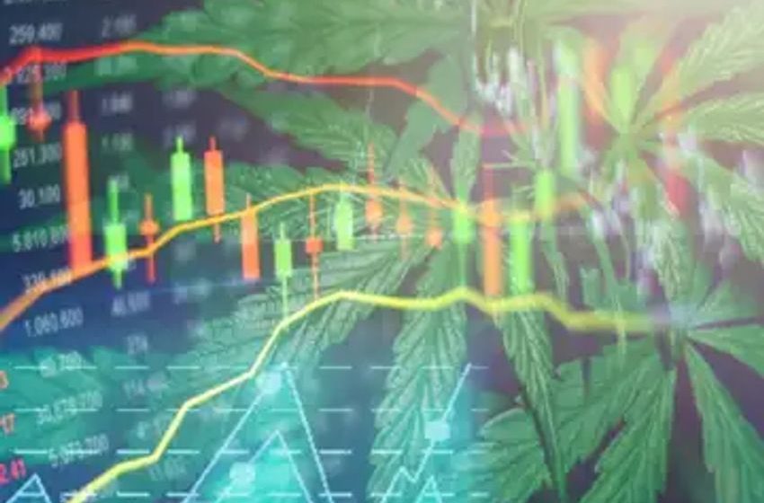  Cannabis Stocks CGC, ACB, TLRY, SNDL Already Fading Despite German Legalization