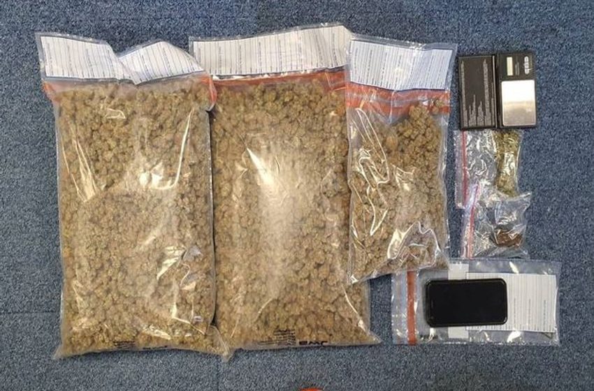  Gardaí arrest 10 people following seizure of cannabis worth €85,000 in Wexford