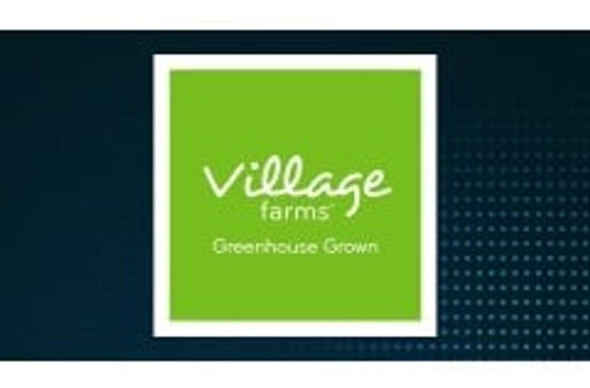  Insider Buying: Village Farms International, Inc. (TSE:VFF) Director Acquires C$14,070.00 in Stock