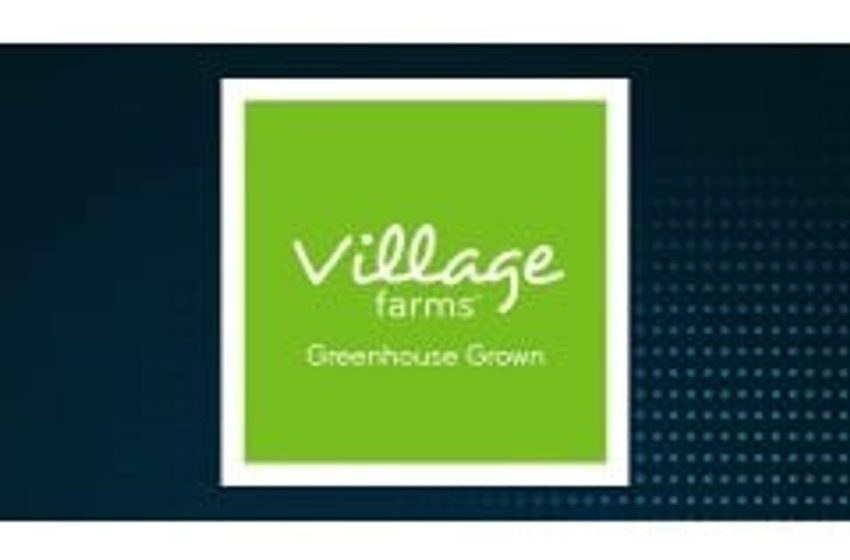 Insider Buying: Village Farms International, Inc. (TSE:VFF) Director Acquires C$14,070.00 in Stock