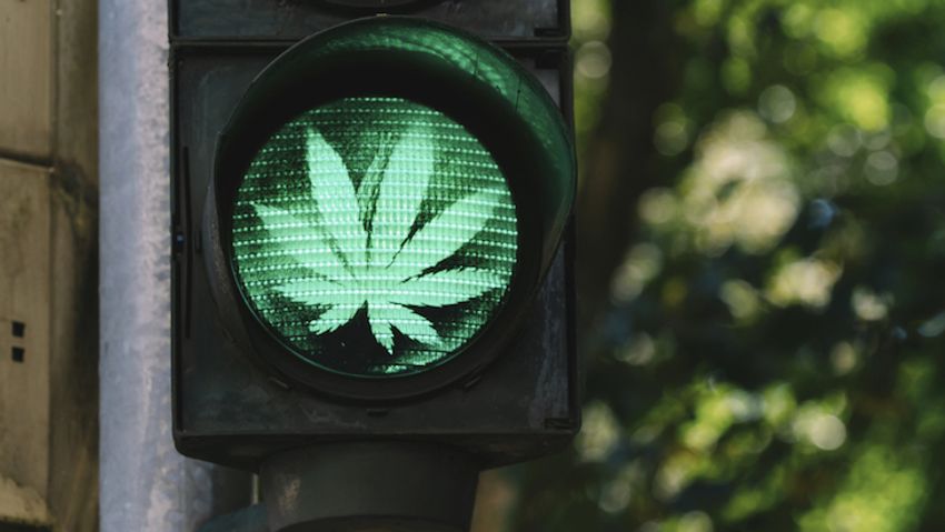  Pew Poll: Adults Overwhelmingly Oppose Marijuana Criminalization