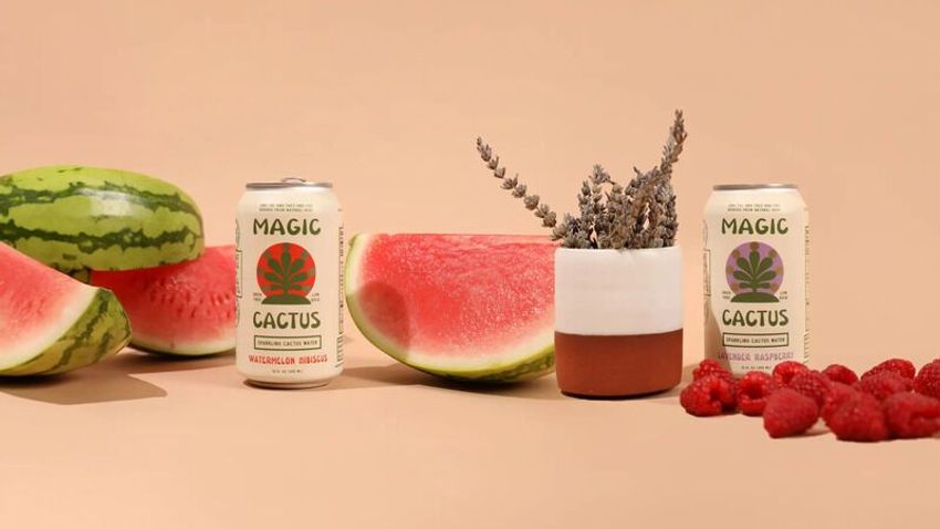  Low-Dose Cactus Waters – Magic Cactus Replenishes & Calms with a Microdose of Cannabis (TrendHunter.com)