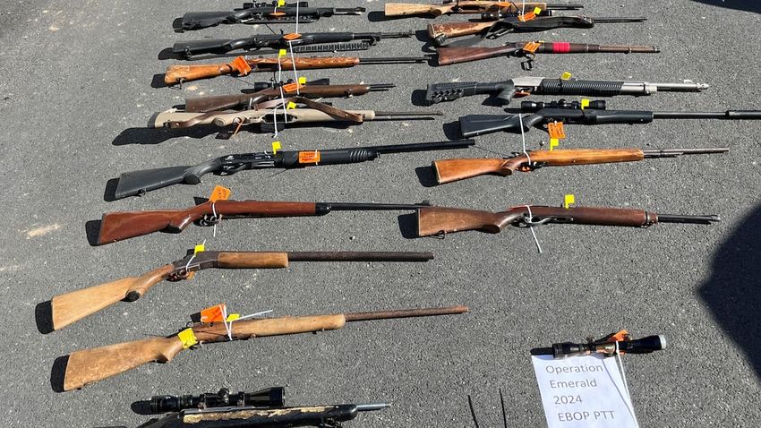  Operation Emerald: Police seize loaded guns and cannabis in Bay of Plenty organised crime, gang bust