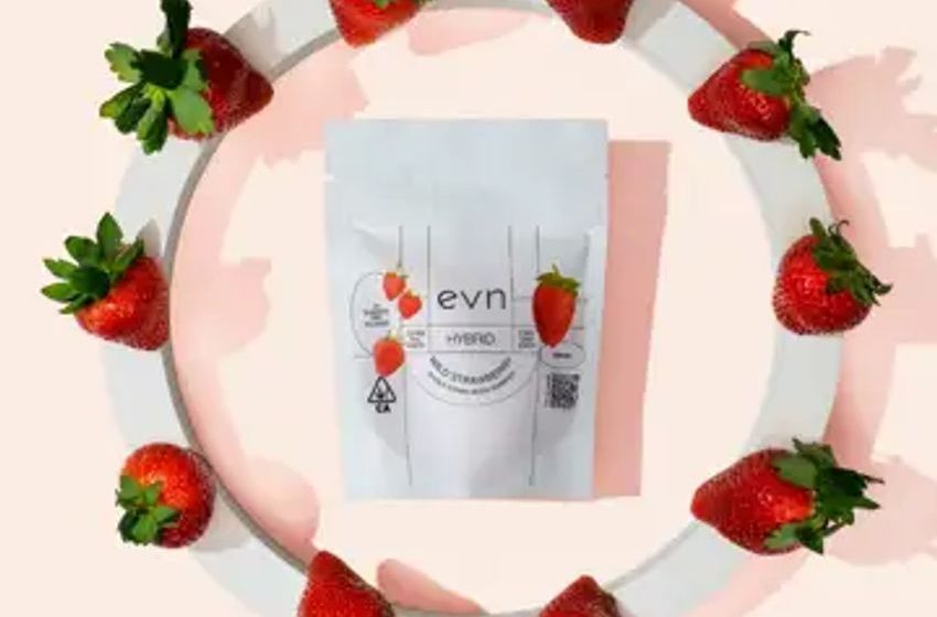  Evn Introduces a Game-Changer in Cannabis Edibles with New Hemp-Derived Live Resin Gummies