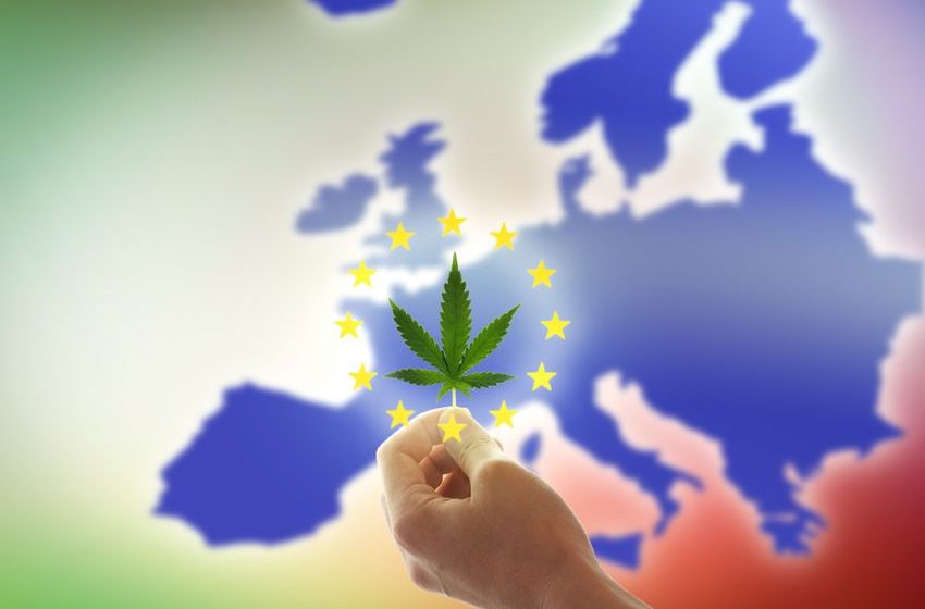  Global Cannabis Outlook: Worldwide Developments in 2024