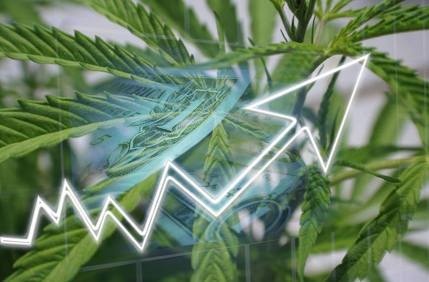  Global Legal Cannabis Market Expected To Reach $58 Billion In 2028