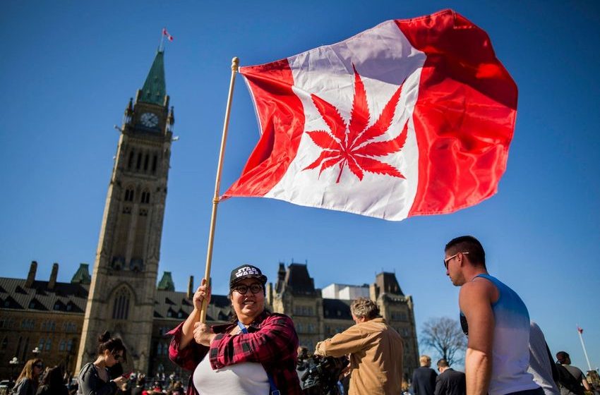  Nearly 72% Of Canada’s Cannabis Users Buy From Legal Market, Survey Finds