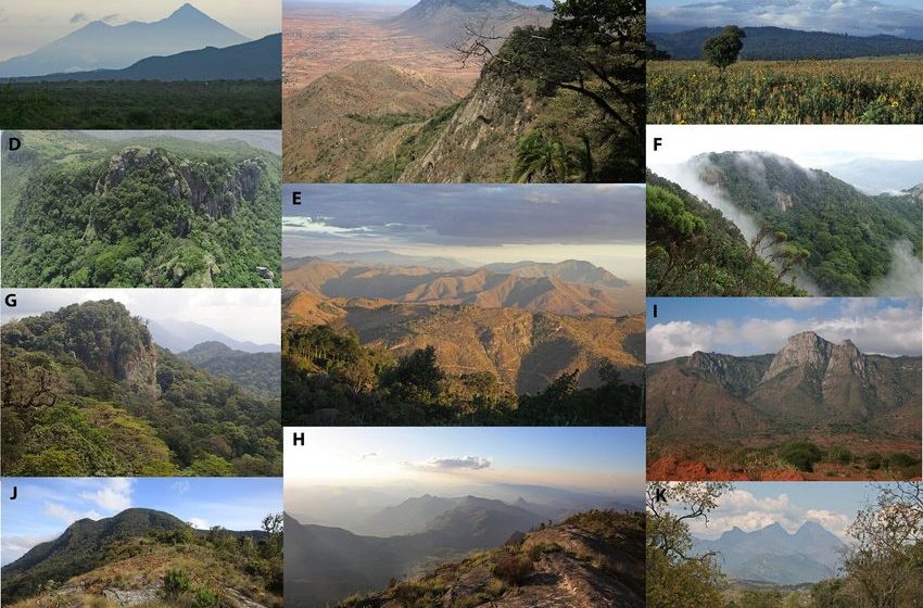  Global climate databases work with incorrect data for the tropics, study shows