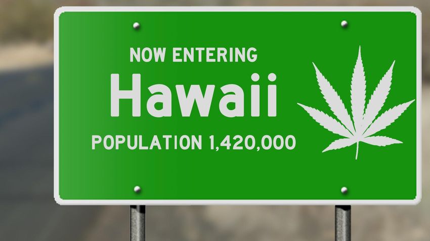  Hawaii Senate Passes Recreational Marijuana Legalization Bill