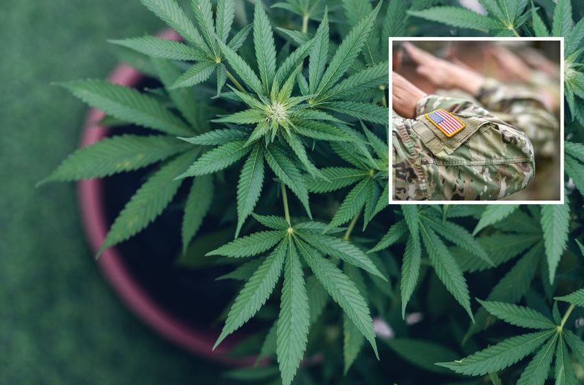  Joe Biden’s Cannabis Pardons Do Not Apply to Everyone