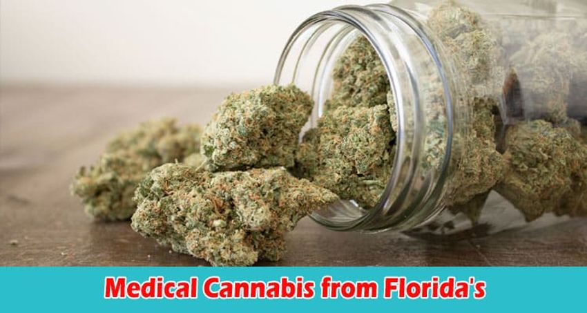  Crucial Factors to Assess When Buying Medical Cannabis from Florida’s Digital Dispensaries