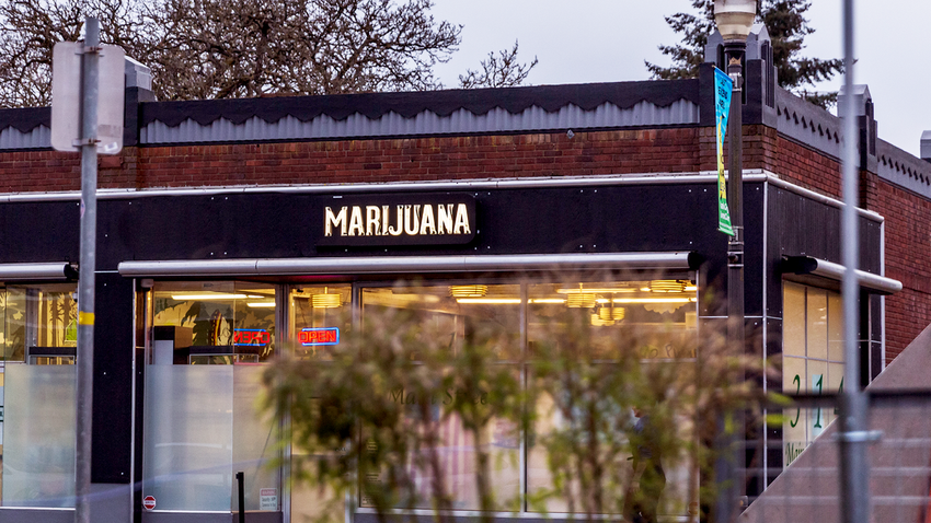  New Dispensary Promises Customers Tantalizing Taste Of The Forbidden Fruit That Is Marijuana