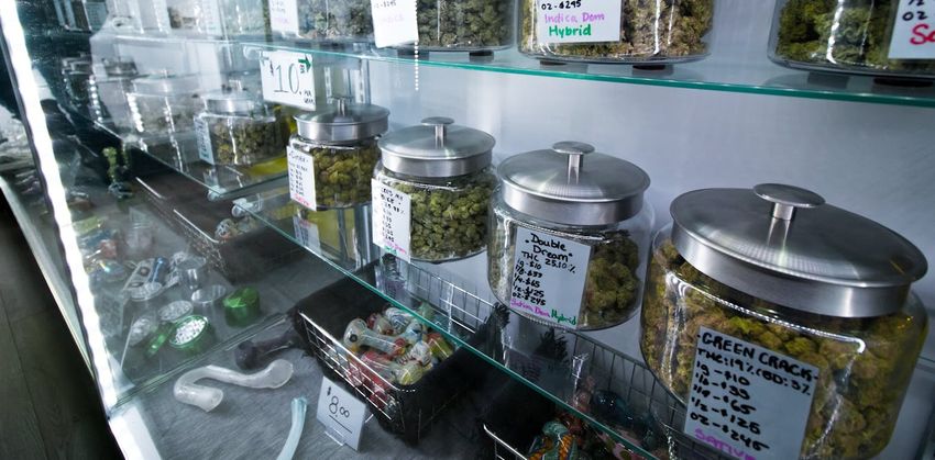  Lab tests show THC potency inflated on retail marijuana in Colorado