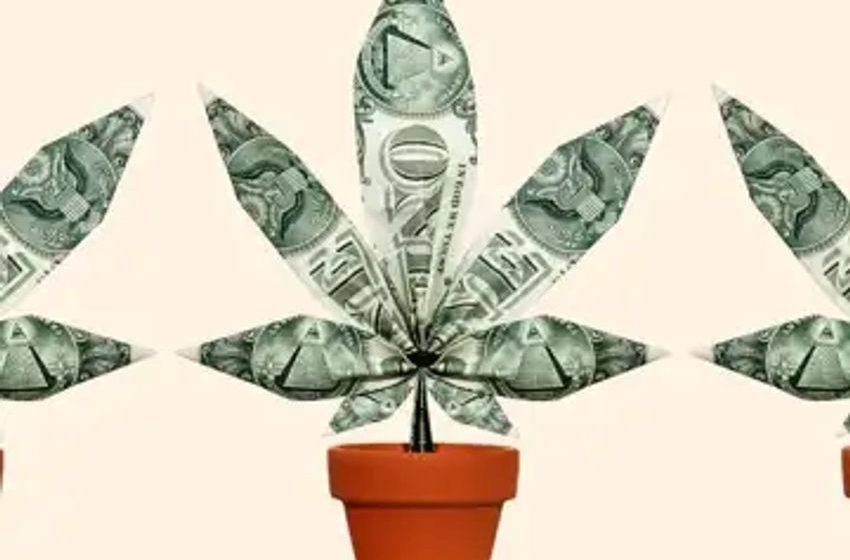  State governments must be loving 4/20 almost as much as Tax Day