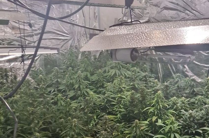  Gardaí arrest two men following seizure of cannabis worth €890,000 in Galway