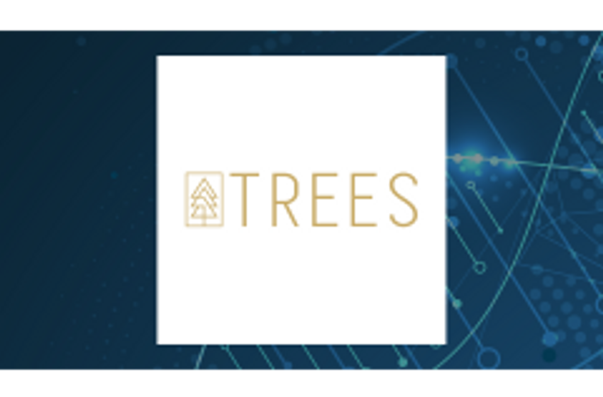  Trees (OTCMKTS:CANN) Stock Passes Below 50-Day Moving Average of $0.08