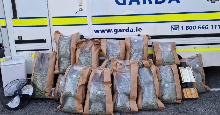 Three arrested after cannabis worth €700,000 seized in Co Roscommon