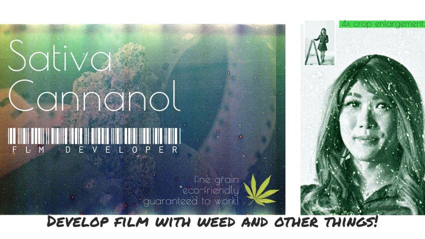  I developed film in cannabis