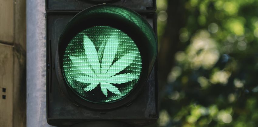  Germany decriminalised cannabis: why the UK should consider doing the same