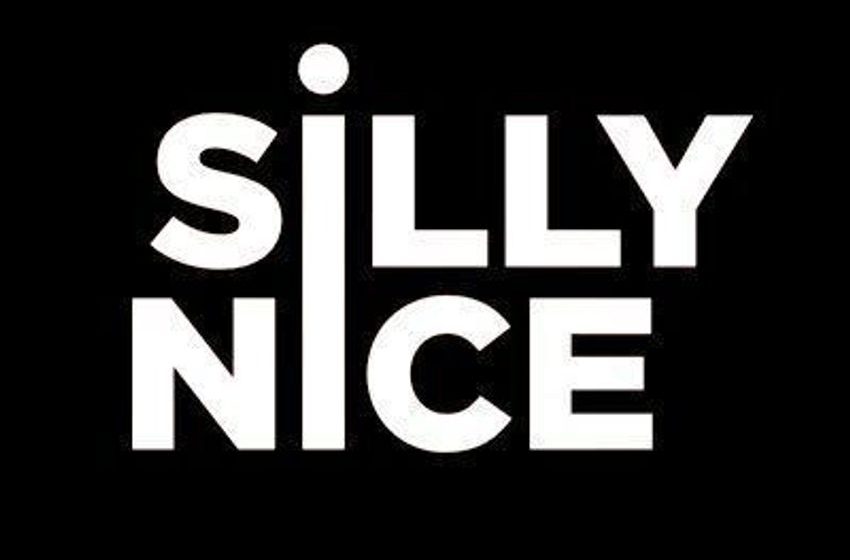  Inclusivity-Promoting Cannabis Brands – Black and Veteran-Owned Brand Silly Nice Champions Diversity (TrendHunter.com)