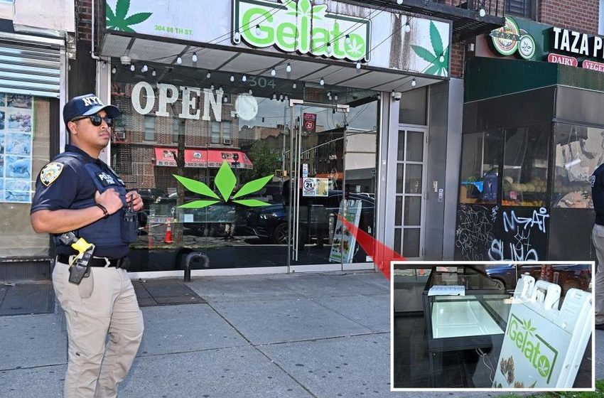  Cops raid illegal NYC pot shop just one day after defiant worker dared NYPD to shut down the store
