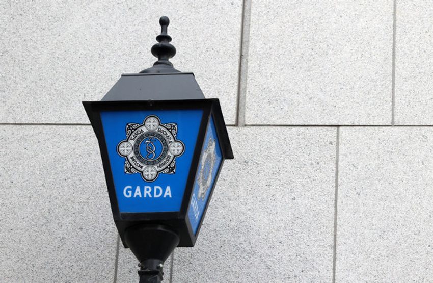  Four men arrested after gardaí make €300,000 seizure at cannabis factory