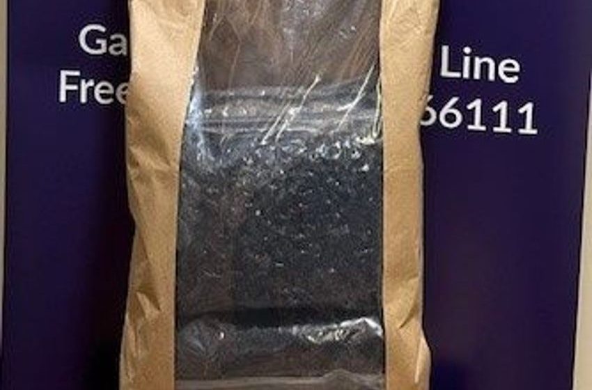  Gardaí arrest man (40s) following seizure of cannabis herb worth €80k in Dublin