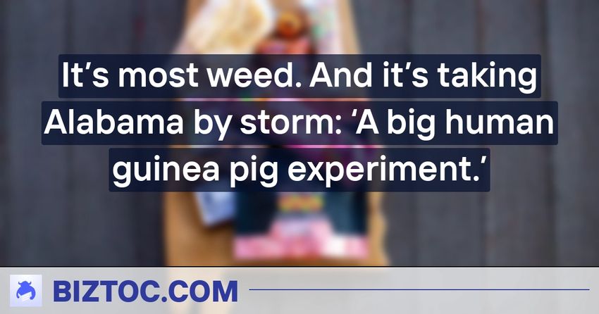  It’s most weed. And it’s taking Alabama by storm: ‘A big human guinea pig experiment.’