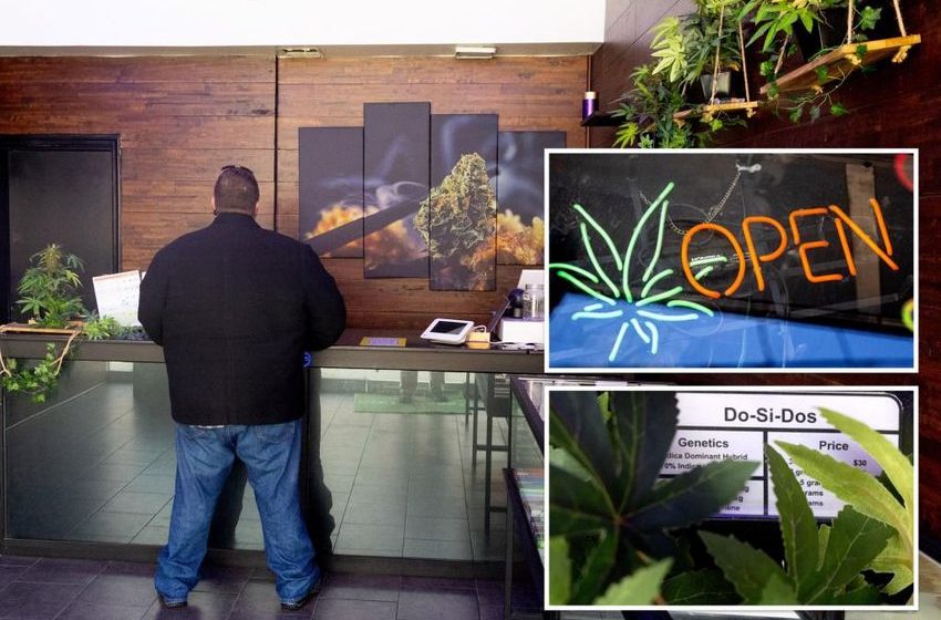 NYC illegal pot shop worker boldly defiant as officials question lack of enforcement: ‘It’s not going to do anything’