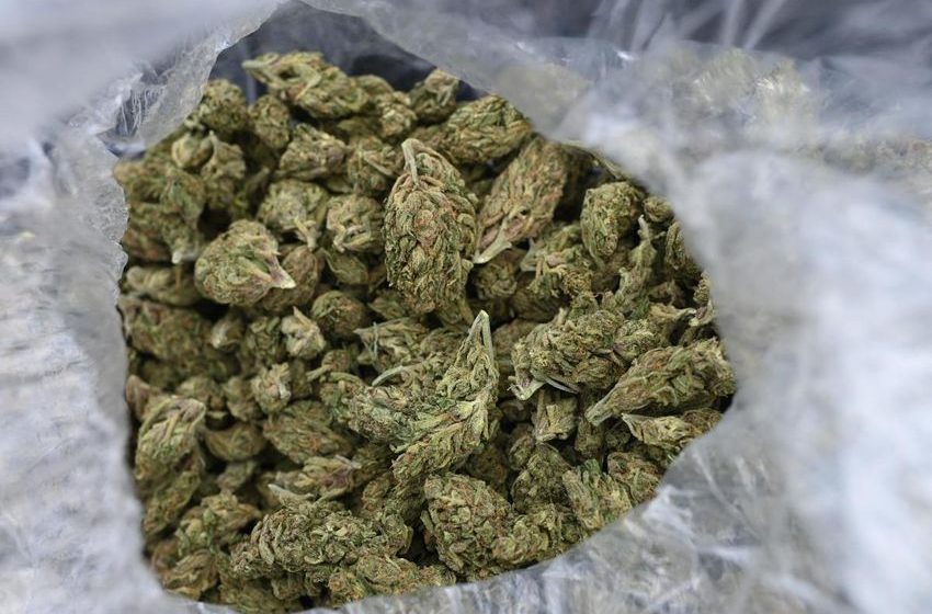  Woman tried to board flight at Memphis Airport with 56 pounds of marijuana: Reports
