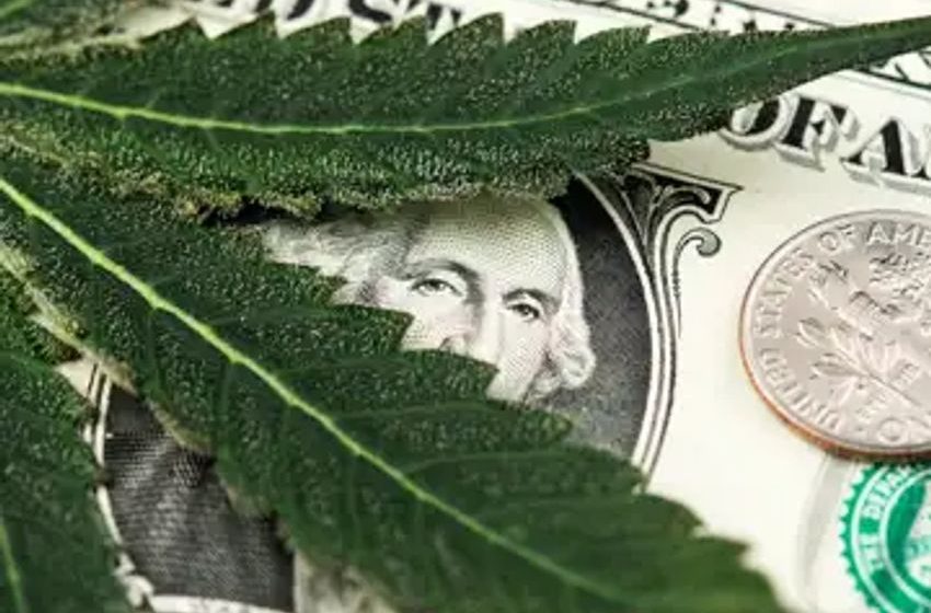  Want More Green? Buy These 3 Red-Hot Cannabis Stocks Today