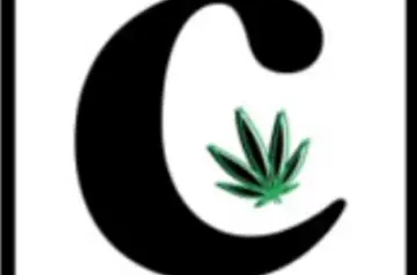  Berke’s cannabis newsletter nearing 15,000 subscribers