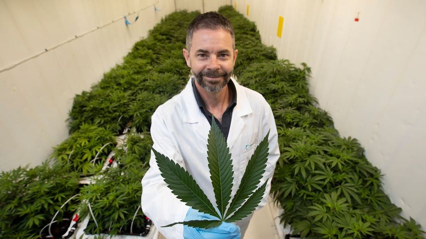  Markets with Madison: NZ medicinal cannabis company Cannasouth’s ex-chief executive Mark Lucas talks about what went wrong