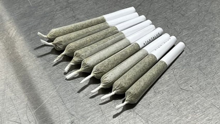  Surrey will soon start accepting applications for cannabis stores