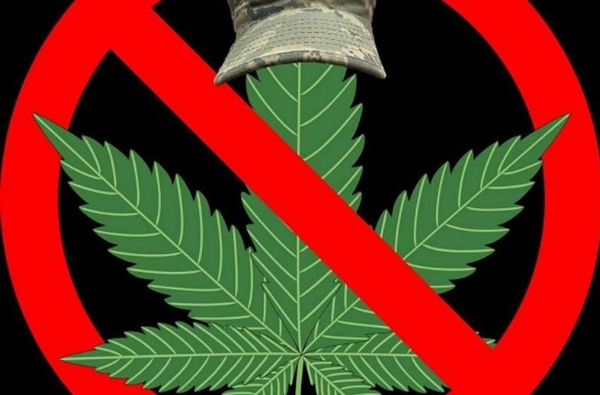  Florida to Consider Legalization of Marijuana Amidst Alarming Evidence of Harm
