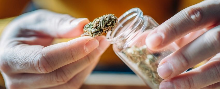  Lab Results Show Your Cannabis May Be Incredible, And Not in a Good Way