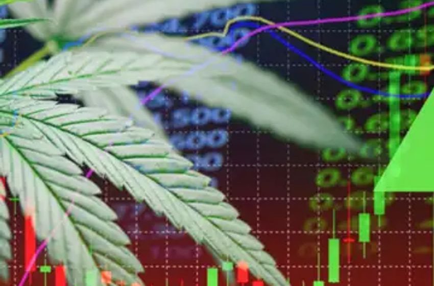  Cashing in on Cannabis: Why These 3 Weed Stocks Are Primed to Pop