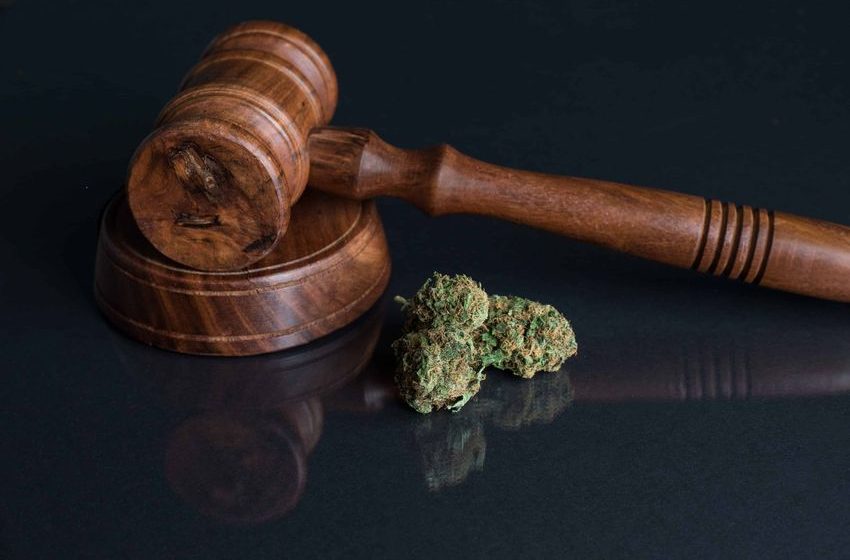 New York Judge Strikes Down Cannabis Marketing Rules | High Times