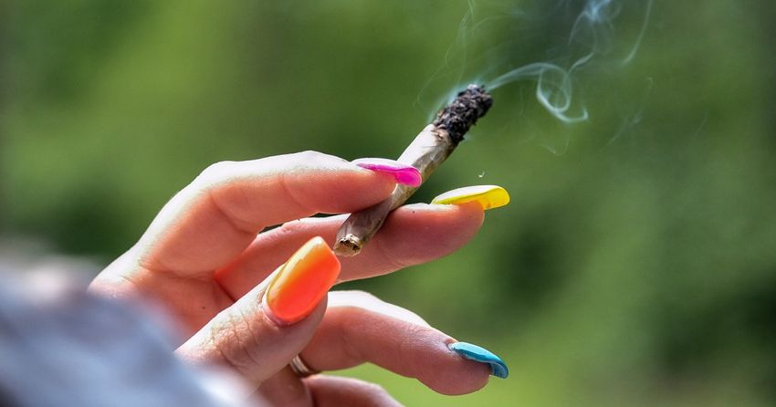  Growing demand for stronger marijuana highlights the risk of cannabis-induced psychiatric disorders