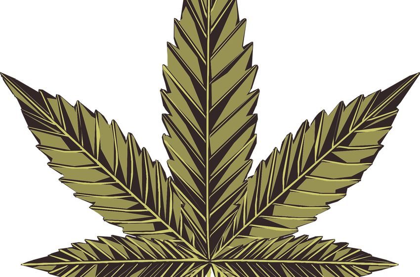  Up in smoke: New study suggests it’s time to ditch long-held stereotypes about stoners
