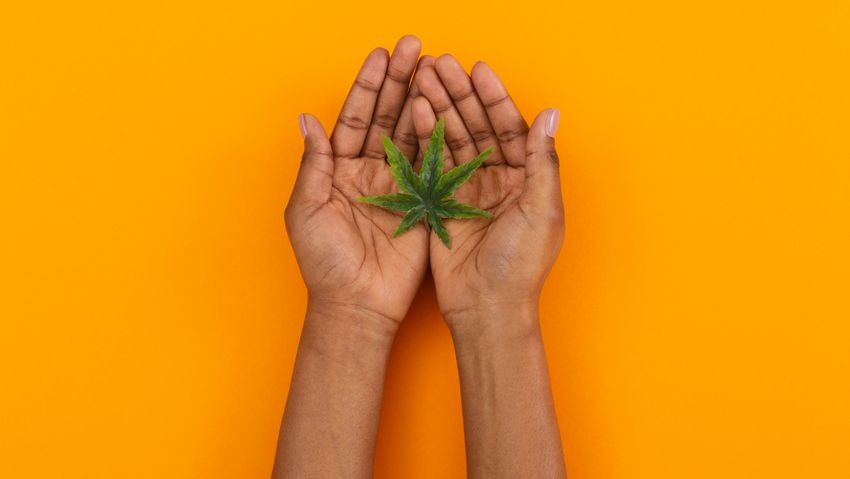  Cannabis is booming, but who benefits? Black women discuss the highs and lows of the industry