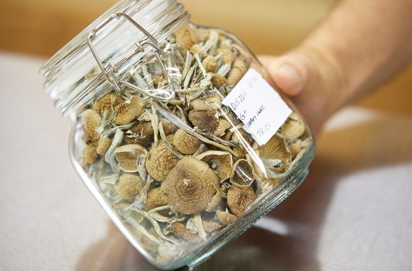  Using ‘magic mushrooms’ for mental health