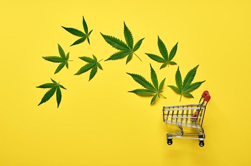  Cannabis Tech Firms Report Strong Marijuana Sales On 4/20 Weed Holiday