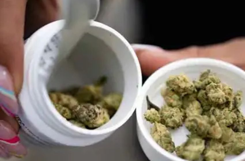  Cannabis grower Curaleaf weighs Europe listing after German legalisation