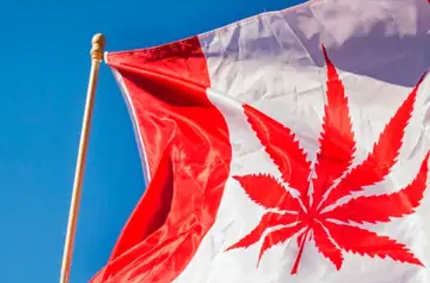  Where’s the help for the cannabis industry in the 2024 budget?