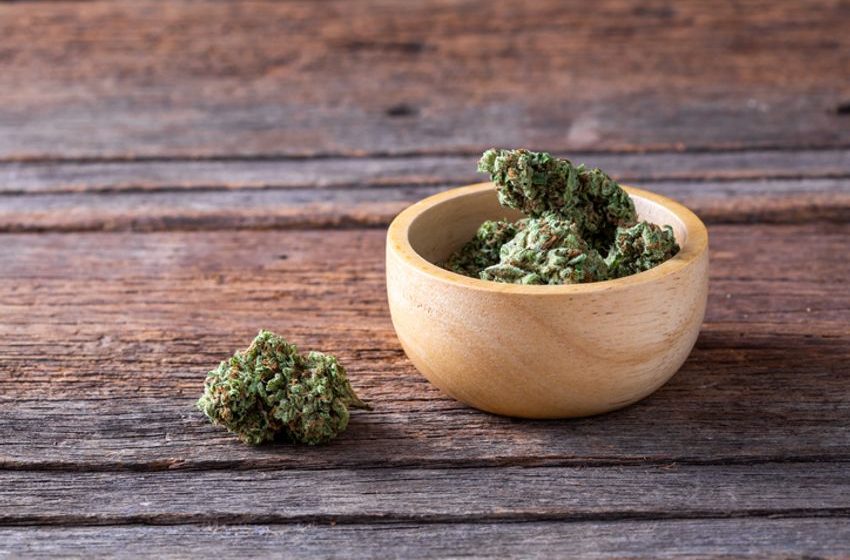  Light It Up: Celebrate 4/20 With BOSSIP’s Hand Picked Cannabis Products You Should Try