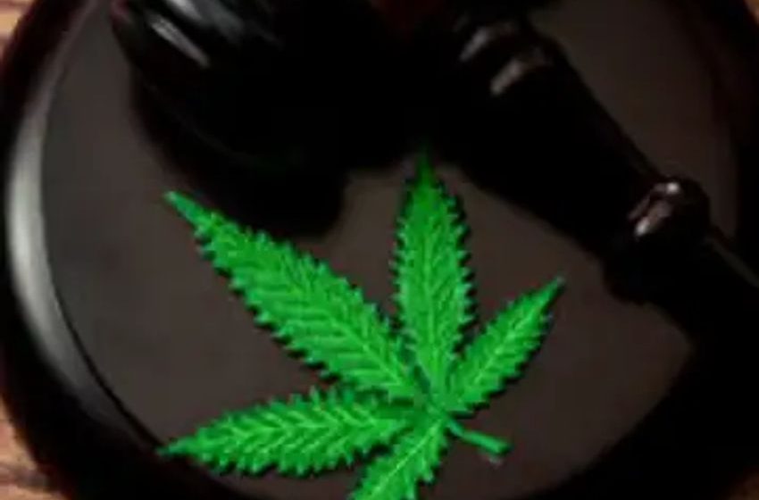  Cannabis Comeback: Federal Reform Could Ignite Marijuana Stocks