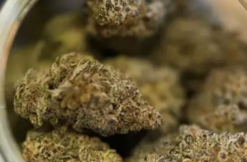  Marijuana legalization in WA slow to undo damage done by war on drugs