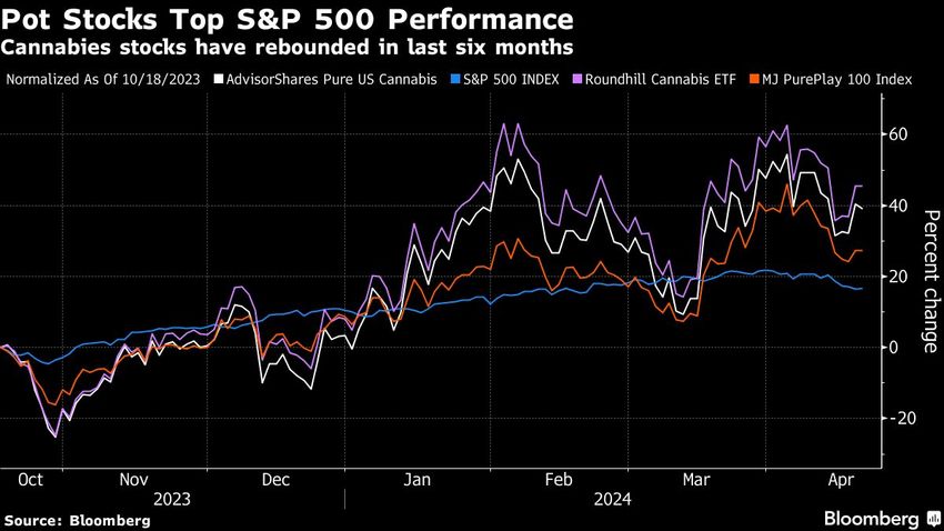  Marijuana Stocks Gain Momentum on Cannabis Reform Hopes